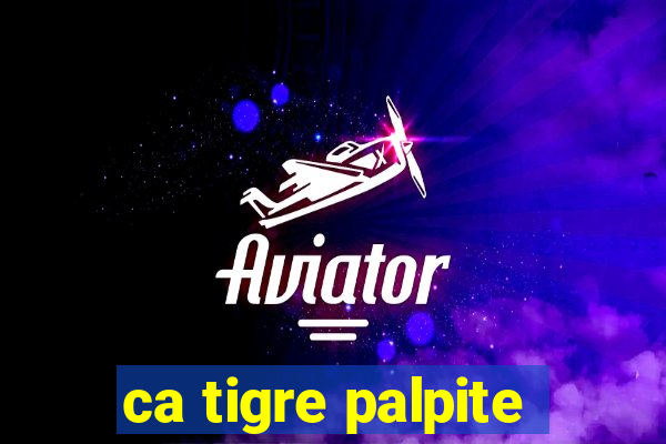 ca tigre palpite